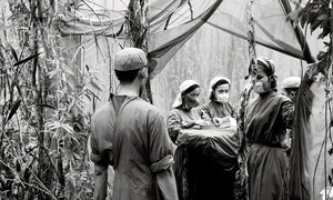 Giữ mạch sống giữa rừng xanh