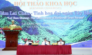 Phát triển Sâm Lai Châu: Bàn giải pháp từ nguồn giống đến sản phẩm