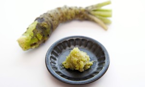 Nhật Bản thử nghiệm hợp chất từ wasabi hỗ trợ tái tạo ngà răng