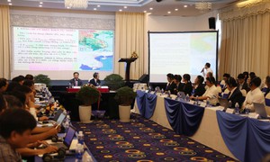 Hợp tác với Nhật Bản tìm giải pháp phòng, chống xói lở bờ biển