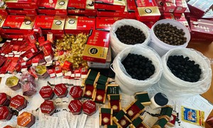 Triệt phá đường dây sản xuất thuốc An Cung, mỹ phẩm giả ‘cực khủng’
