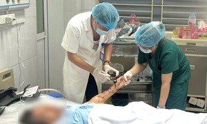 Chó tấn công cụ bà nằm liệt giường 6 năm