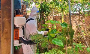 Thực hiện chiến dịch khử trùng, tiêu độc môi trường ở Buôn Ma Thuột