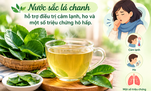 3 cách dùng lá chanh giảm ho, dễ thực hiện có tác dụng tốt tại nhà