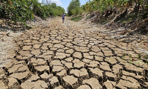 El Nino mạnh nhất trong 3 tháng cuối năm tác động đến từng khu vực thế nào?