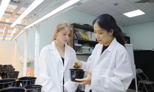 Hai chỉ số đổi mới sáng tạo của Việt Nam đứng đầu thế giới