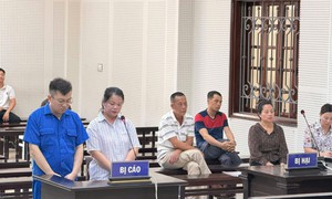Chiếm đoạt hơn 12 tỷ đồng, cặp vợ chồng lĩnh án gần 38 năm tù