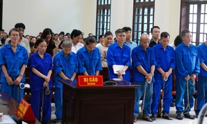Sai phạm nghiêm trọng tại Công ty Đồ hộp Hạ Long, hàng loạt bị cáo hầu tòa