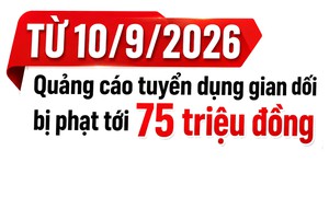 Từ 10/9, quảng cáo tuyển dụng gian dối có thể bị phạt tới 75 triệu đồng