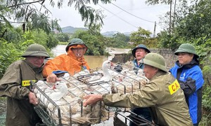 Đợt mưa dông sắp tới ở miền Bắc kéo dài bao lâu?