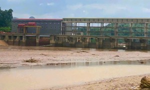 Làm rõ nguyên nhân hạ mực nước sông đột ngột khiến gần 10 tấn cá nuôi chết