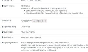 Công ty Cổ phần Việt Vương vi phạm chứng khoán