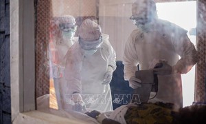 WHO cảnh báo thiếu 5.000 nhân viên y tế để ứng phó với dịch Ebola tại CHDC Congo