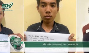 Đêm kinh hoàng khi băng cướp manh động vác dao chém người, cuỗm sạch tài sản ở Đồng Nai