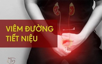 6 b&#224;i thuốc chữa vi&#234;m đường tiết niệu mạn t&#237;nh