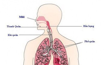 C&#225;ch hạn chế vi&#234;m đường h&#244; hấp tr&#234;n khi thời tiết lạnh