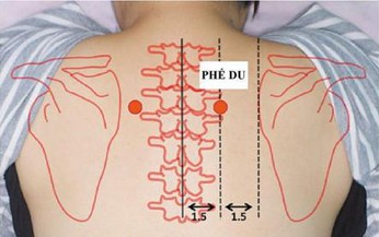 6 huyệt vị hỗ trợ ph&#242;ng v&#224; trị vi&#234;m họng mạn t&#237;nh