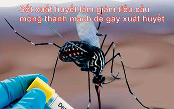 Giảm tiểu cầu, rụng tóc khi bị sốt xuất huyết nên bổ sung gì?