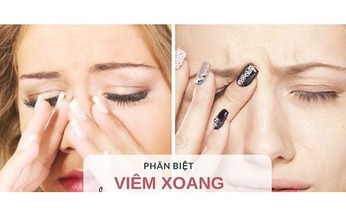 Ph&#226;n biệt vi&#234;m xoang v&#224; vi&#234;m mũi dị ứng, c&#225;ch ph&#242;ng bệnh