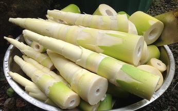 Uống nước măng chua, người phụ nữ ở Thái Nguyên hôn mê nguy kịch tính mạng
