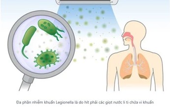 Nắng nóng kéo dài phòng viêm phổi cấp
