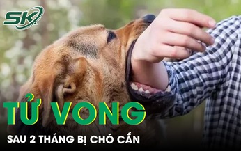 Tử vong v&#236; chủ quan kh&#244;ng ti&#234;m ph&#242;ng dại sau 2 th&#225;ng bị ch&#243; cắn