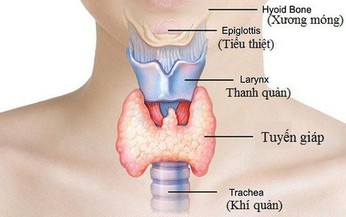 Suy gi&#225;p bẩm sinh: Nguy&#234;n nh&#226;n, triệu chứng, c&#225;ch điều trị v&#224; ph&#242;ng bệnh