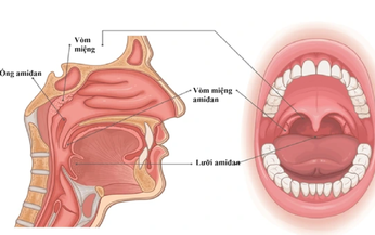 C&#225;c phương ph&#225;p điều trị vi&#234;m VA ở trẻ nhỏ