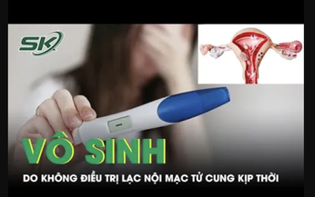 Hệ lụy v&#244; sinh do kh&#244;ng điều trị lạc nội mạc tử cung kịp thời