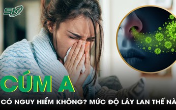 C&#250;m A c&#243; dễ l&#226;y lan kh&#244;ng? Mức độ nguy hiểm như thế n&#224;o?