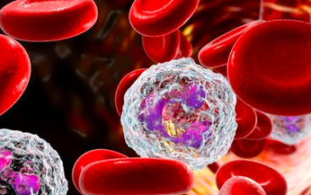 Câu hỏi thường gặp liên quan đến bệnh leukemia kinh dòng bạch cầu hạt
