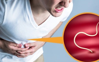 Bệnh giun tóc: Nguyên nhân, biểu hiện, cách điều trị và phòng bệnh