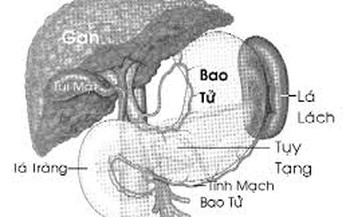 Cắt l&#225; l&#225;ch c&#243; ảnh hưởng sức khỏe?