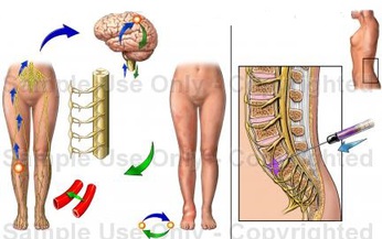 &#208;au loạn dưỡng do thần kinh giao cảm