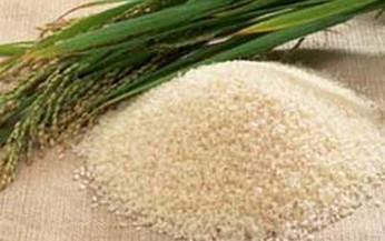Bệnh t&#234; ph&#249; do thiếu vitamin B1