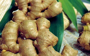 Gừng làm giảm viêm trực tràng
