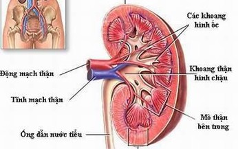 Nang nước ở thận có nguy hiểm?