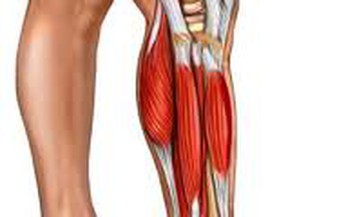 Phương pháp chữa viêm đa cơ hiệu quả