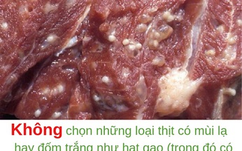 L&#224;m thế n&#224;o để ph&#242;ng tr&#225;nh nhiễm ấu tr&#249;ng s&#225;n lợn?