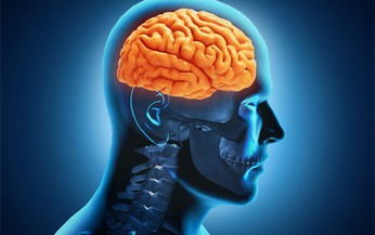 Cảnh giác với bệnh gây đột quỵ não ở phụ nữ trẻ