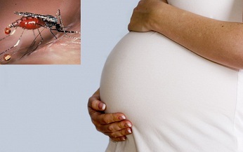 Nguy cơ sảy thai ở thai phụ bị sốt r&#233;t