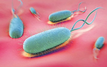 Vi&#234;m dạ dày do H.pylori có l&#226;y kh&#244;ng?