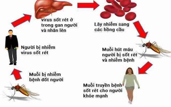 Những thắc mắc thường gặp về sốt r&#233;t