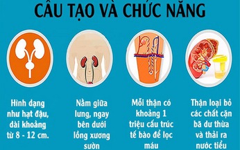 Dấu hiệu cảnh b&#225;o chức năng thận suy giảm