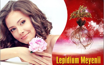 Rối loạn kinh nguyệt ở phụ nữ tuổi “giao mùa”