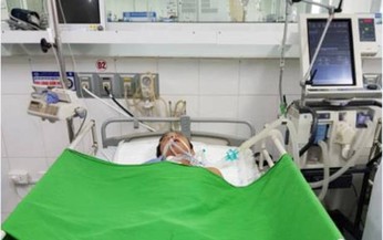 Rắn cạp nia cắn người đi làm đồng gây liệt chân tay, hôn mê sâu suýt chết
