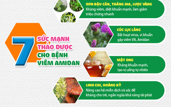 [Infographic]: C&#244;ng thức 7 thảo dược thi&#234;n nhi&#234;n hiệu nghiệm cải thiện v&#224; ổn định Amidan cho trẻ