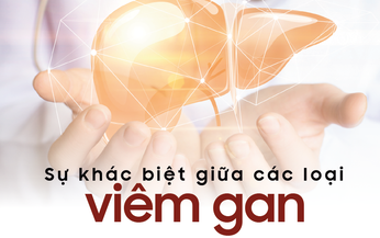 Viêm gan virus A, B và C: Hiểu đúng bệnh, xử lý đúng cách