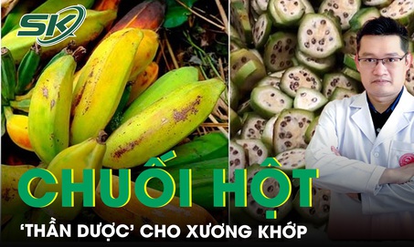 Kh&#244;ng chỉ ng&#226;m rượu, chuối hột c&#242;n l&#224; ‘thần dược’ cho xương khớp