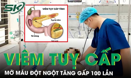 Mỡ m&#225;u đột ngột tăng gấp 100 lần do vi&#234;m tuỵ cấp